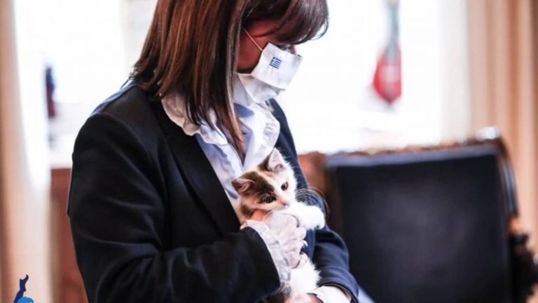 Σακελλαροπούλου σε Μητσοτάκη: «Δεν ξέρεις την Καλυψώ;» – Η γάτα του Προεδρικού Μεγάρου