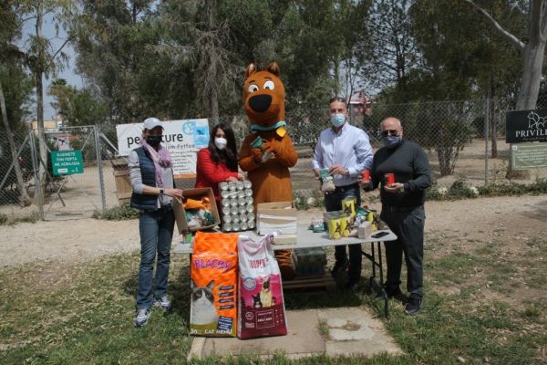 Ημέρα Αδέσποτων Ζώων: Συγκέντρωση τροφών από τον Δήμο Πειραιά – Πώς μπορείτε κινα βοηθήσετε