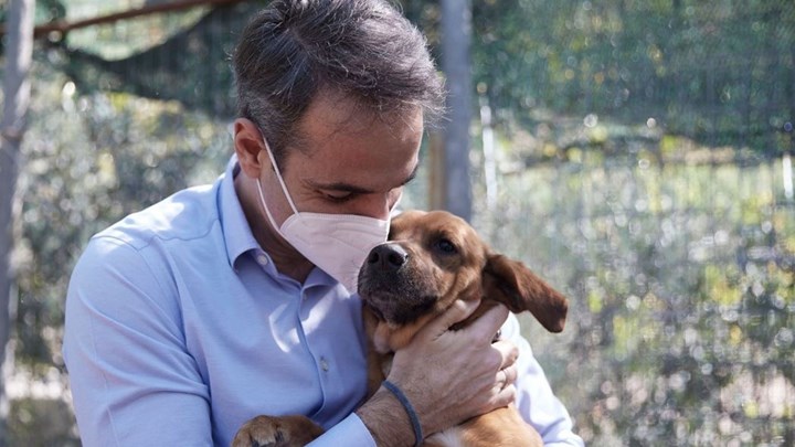 Παγκόσμια Ημέρα Αδέσποτων: Στο καταφύγιο ζώων στην Ηλιούπολη ο Κ. Μητσοτάκης
