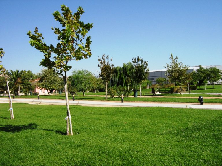 Περιφ. Κεντρικής Μακεδονίας: Τρία έργα πρασίνου και αστικής ανάπλασης με τον Δήμο Καλαμαριάς
