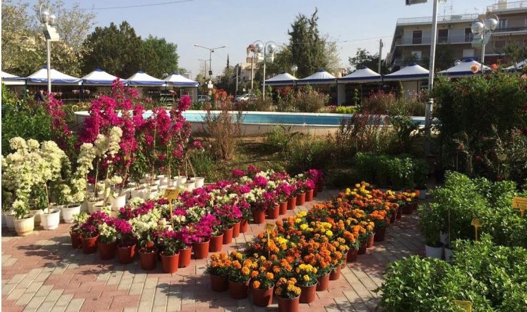Δήμος Πειραιά: «Ημέρες Θάλασσας 2021» – «Γιορτή Λουλουδιών» στην πλατεία Αλεξάνδρας