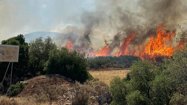 Συναγερμός μετά από μεγάλη φωτιά στη Δροσιά Αχαΐας – Εκκενώνεται οικισμός