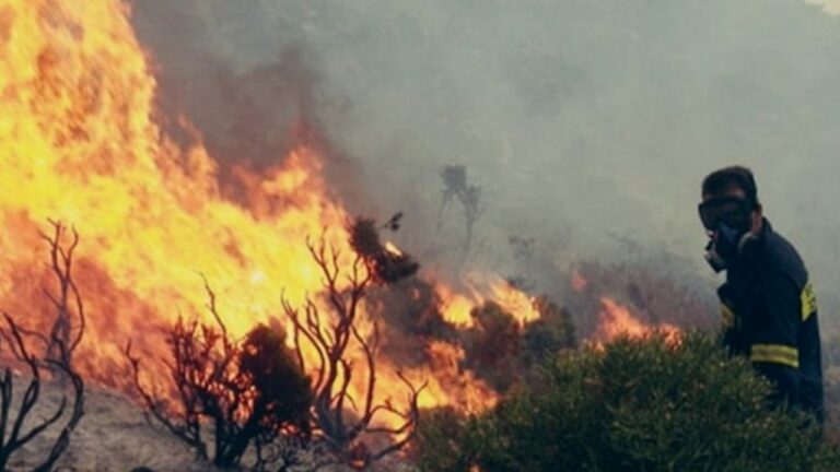 Κεφαλονιά: Πυρκαγιά σε εξέλιξη – Απομακρύνονται κάτοικοι από την περιοχή Καπανδρίτι -Ενισχύθηκαν οι πυροσβεστικές δυνάμεις