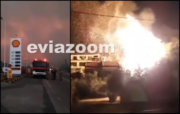 Βίντεο-σοκ από την πύρινη κόλαση στην Εύβοια –  «Θα καούν όλα τα σπίτια, ελάτε τώρα»