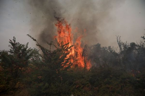 Φωτιά στην Εύβοια – Εκκενώνεται το Κέντρο Υγείας στο Μαντούδι Εύβοιας