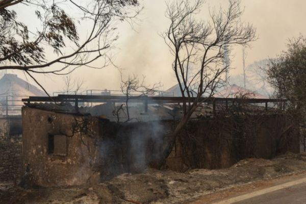 Φωτιά στην Αχαΐα – Κυβερνητικό κλιμάκιο αύριο στην Πάτρα για τις καταστροφές