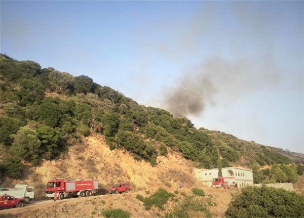Μεσσηνία: Αναζωπύρωση της φωτιάς στο Βασιλίτσι – Εκκενώθηκε οικισμός, κινδυνεύουν σπίτια