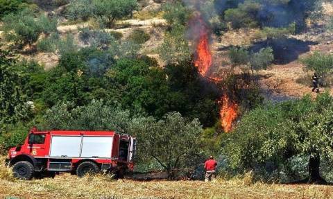 Κρήτη – «Συναγερμός» για πυρκαγιά – Δυνάμεις της Πυροσβεστικής σπεύδουν για κατάσβεση